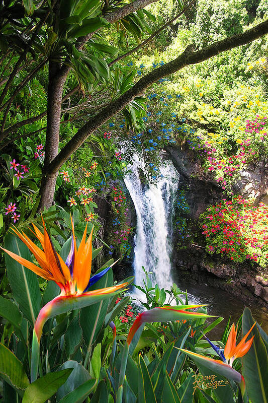 Paradise Falls Poster featuring the photograph Paradise Falls by Doug Kreuger