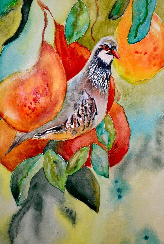 Partridge In A Pear Tree Poster featuring the painting Partridge In A Pear Tree by Beverley Harper Tinsley