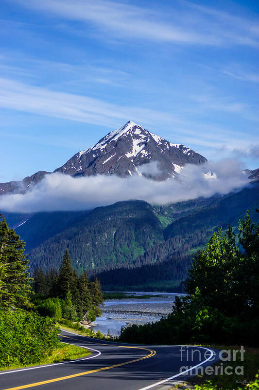 Alaska Poster featuring the photograph Path through Alaska by Jennifer White