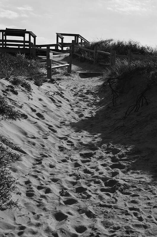 Dunes Poster featuring the photograph Pathway Through the Dunes by Luke Moore