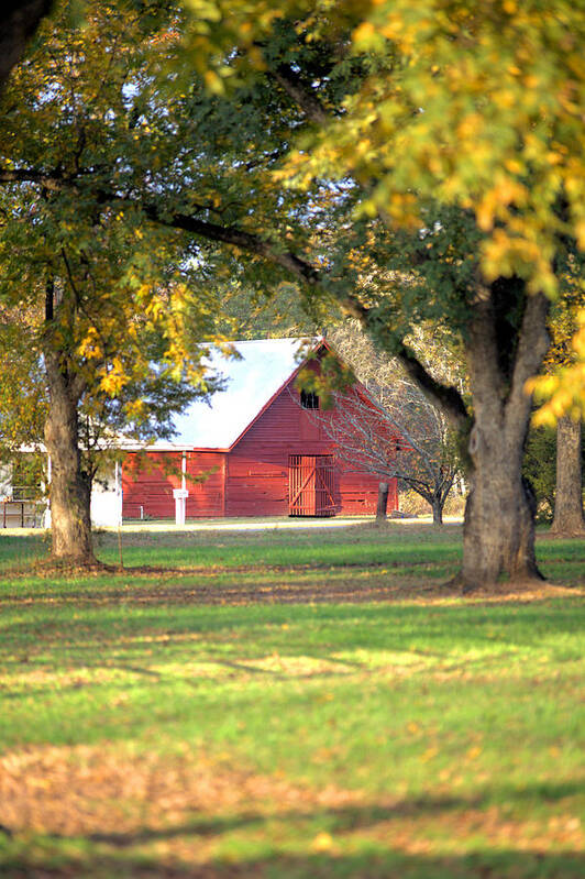 3286 Poster featuring the photograph Pecan Orchard Barn by Gordon Elwell