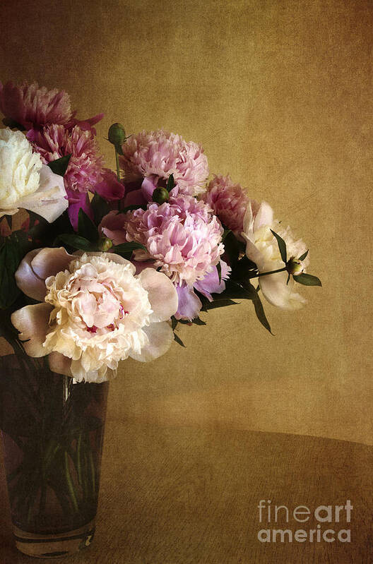 Peonies Poster featuring the photograph Peonies by Elena Nosyreva