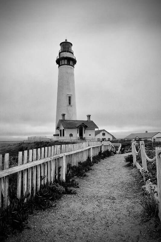 Lighthouse Poster featuring the photograph Pigeon Point Lighthouse by Lisa Chorny