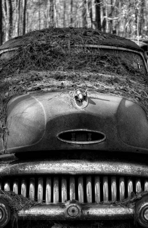 Buick Poster featuring the photograph Pine Straw On Buick in Black and White by Greg and Chrystal Mimbs
