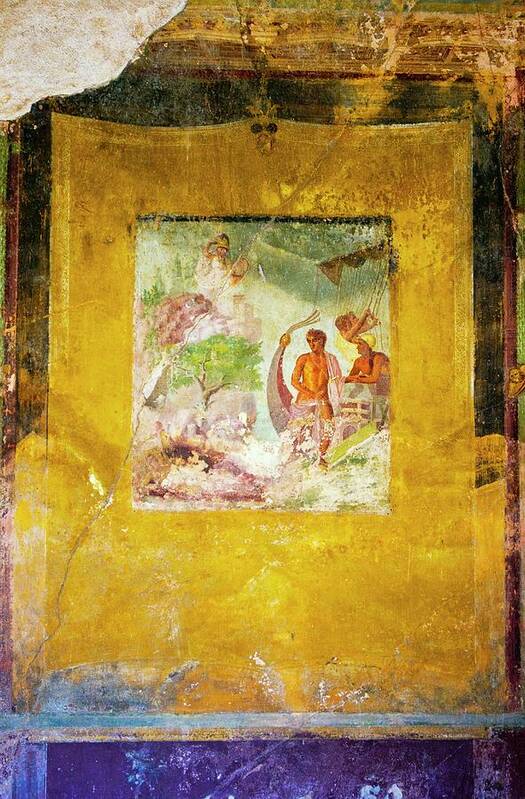 Wall Poster featuring the photograph Pompeii Wall Painting. by Mark Williamson/science Photo Library