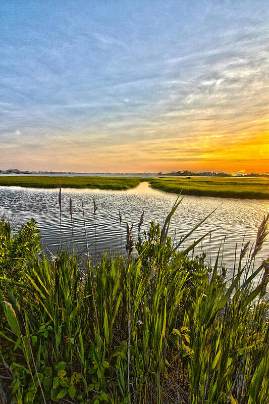 Quogue Poster featuring the photograph Quogue Wetlands Sunset by Robert Seifert
