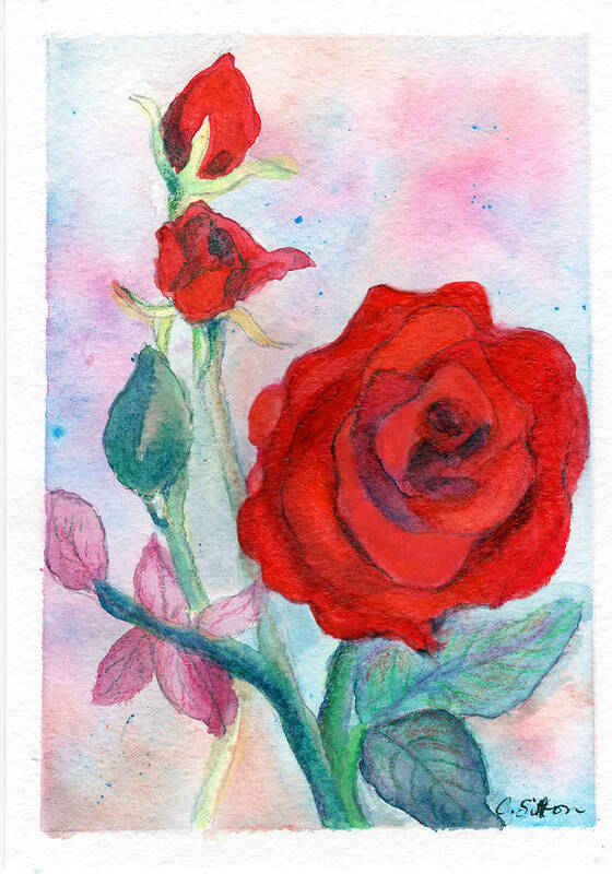 Rose Paintings Poster featuring the painting Red Roses by C Sitton