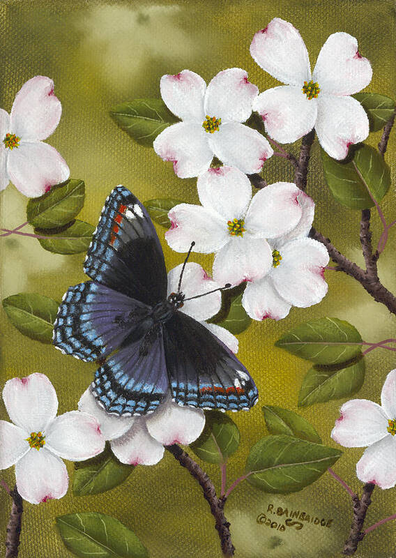 Animals Poster featuring the painting Red Spotted Purple by Rick Bainbridge