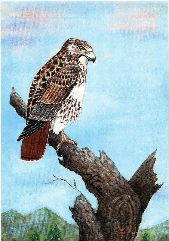 Hawk Poster featuring the painting Red Tailed Hawk by VLee Watson