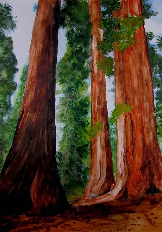Redwoods Poster featuring the painting Redwoods in Yosemite by Maris Sherwood