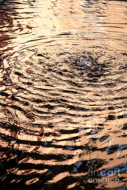 Fountain Poster featuring the photograph Ripple Reflection In Fountain Water by Peter Noyce