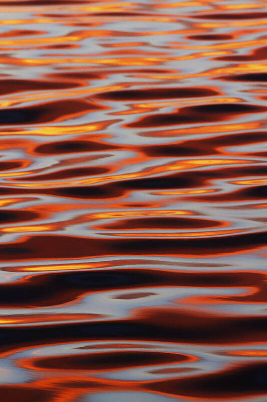 Ripples Poster featuring the photograph Ripples at Sunset by Robert Woodward