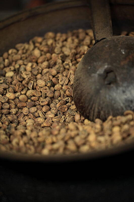 Close-up Poster featuring the photograph Roasted Luwak Coffee Beans by Susan.k.