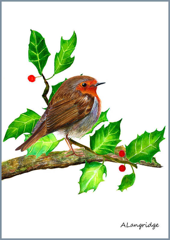 Erithacus Rubecula Poster featuring the painting Robin in Holly by Alison Langridge