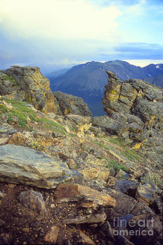 Teri D Brown Poster featuring the photograph Rockcut in Rocky Mtn National Park by Teri Atkins Brown