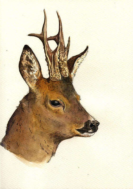 Deer Poster featuring the painting Roe deer head study by Juan Bosco