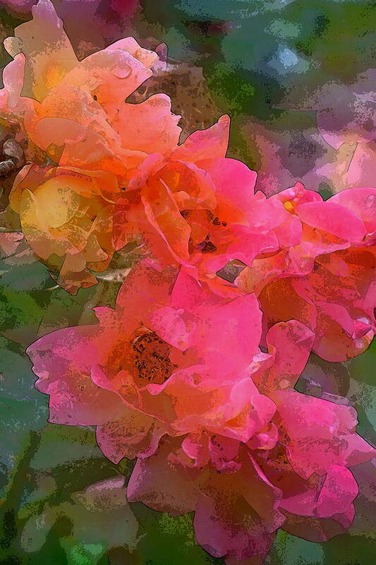 Floral Poster featuring the photograph Rose 219 by Pamela Cooper