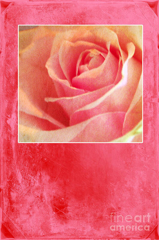 Greeting_card Poster featuring the photograph Rosy by Randi Grace Nilsberg