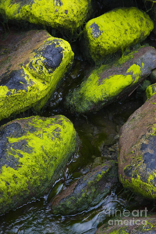 Rock Poster featuring the photograph Rounded Rocks by Tim Grams