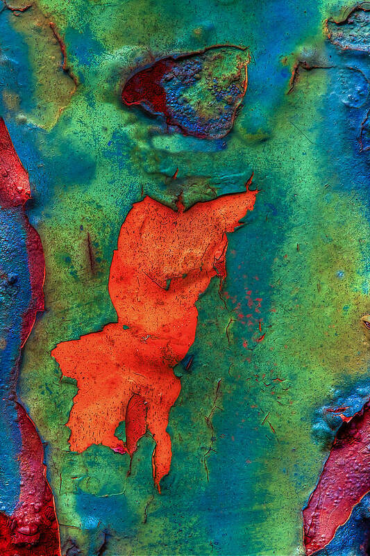 Abstract Poster featuring the photograph Rust is Beautiful by Jerry Gammon