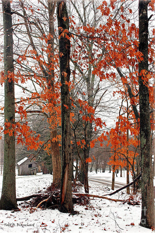 Landscape Poster featuring the photograph Rustic Winter by Todd Blanchard