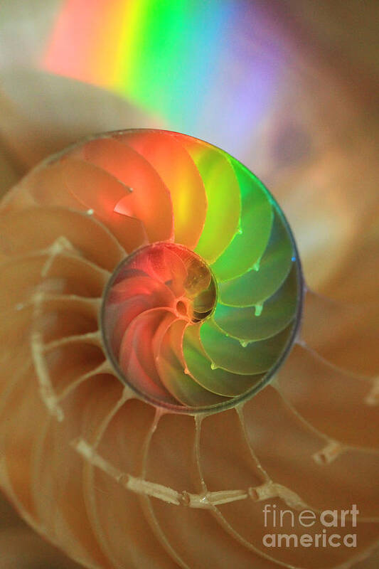 Color Poster featuring the photograph Sacred Spiral Rainbow by Jeanette French