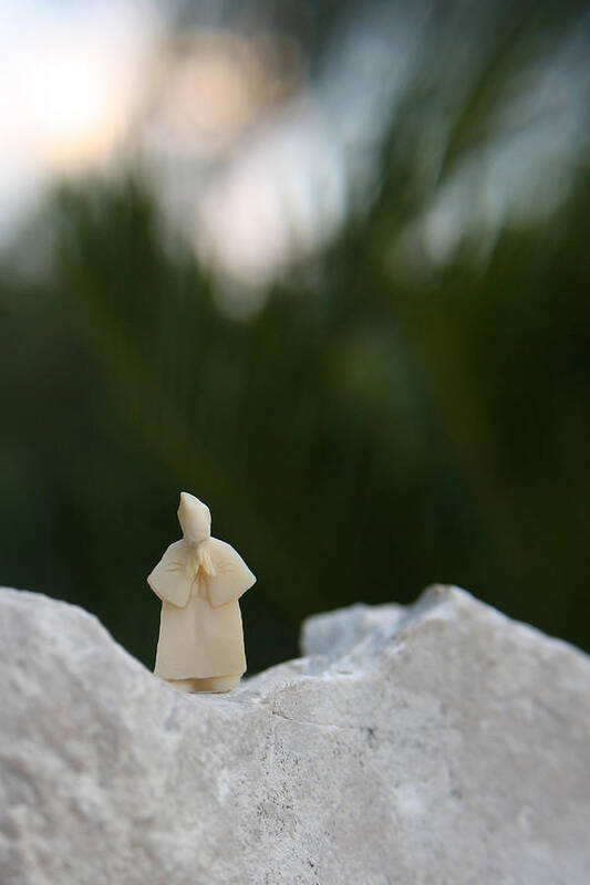 Old Man In The Peanut Poster featuring the photograph Sage On A Mountain by Ismael Cavazos