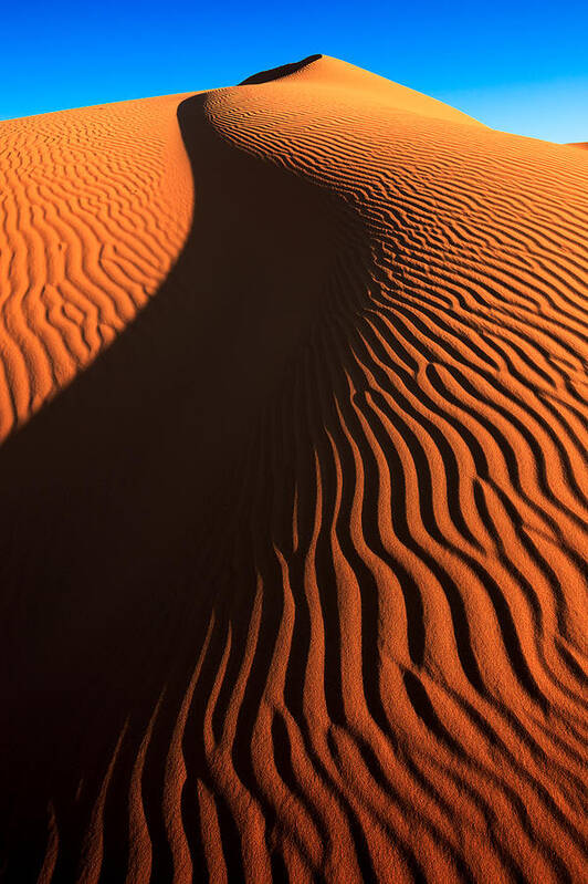 Africa Poster featuring the photograph Sahara Sand Dune by Peter OReilly