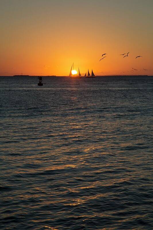 Sun Poster featuring the photograph Sailing Boats At Sunset by Jim West