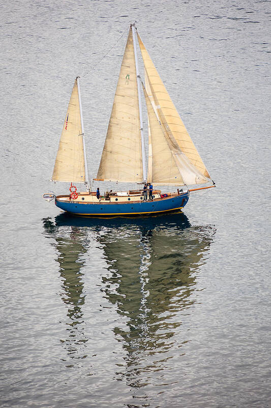 Sailboat Poster featuring the photograph Sailing Puget Sound by Mike Penney