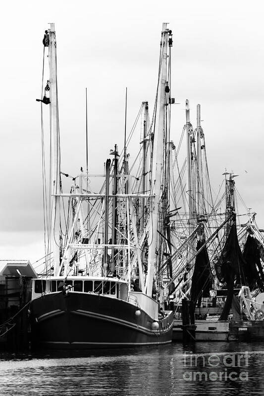 Boat Poster featuring the photograph Saltwater Life by Robert Yaeger