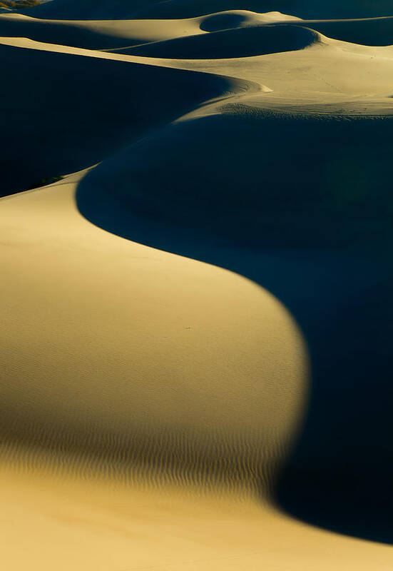 Landscape Poster featuring the photograph Sand Dunes Abstract by Jonathan Nguyen