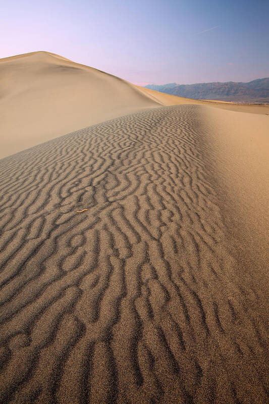 Death Valley Poster featuring the photograph Sand Dunes - Death Valley by Patrick Downey