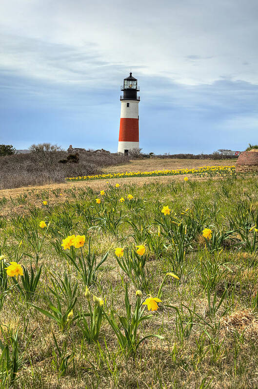Lighthouse Poster featuring the photograph Sankaty Lighthouse Nantucket by Donna Doherty