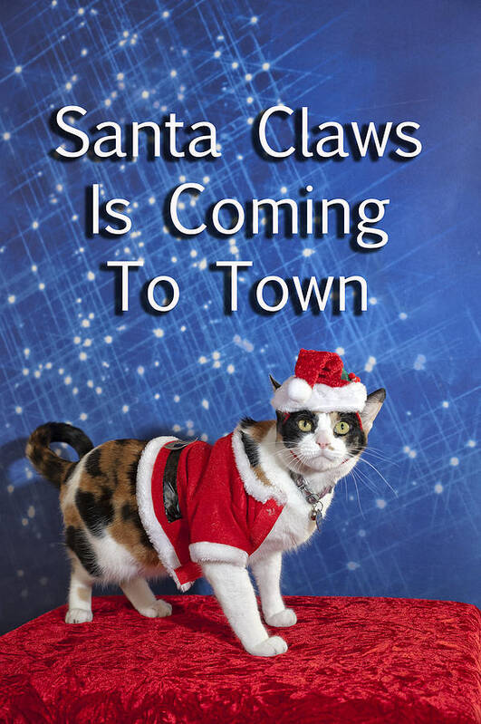 Animals Poster featuring the photograph Santa Claws by Melany Sarafis