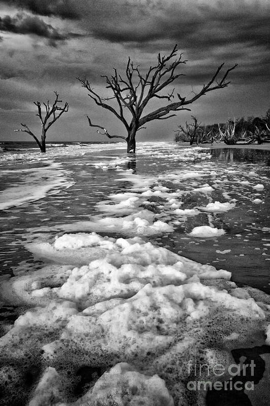 Charleston Poster featuring the photograph Sea Foam Botany Bay by Carrie Cranwill