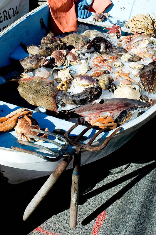 Boat Poster featuring the photograph Seafood by Eunice Harris