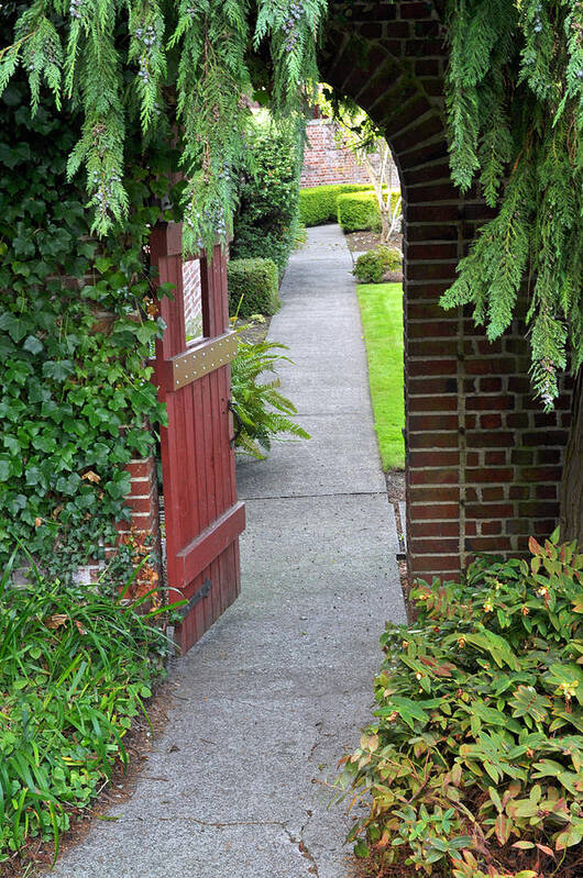 Ivy Poster featuring the photograph Secret Garden Door by Tikvah's Hope