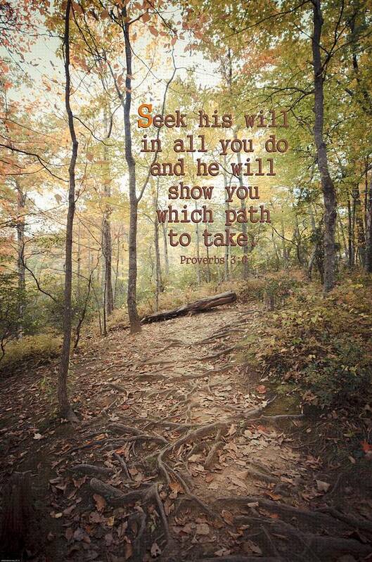 Path Poster featuring the photograph Seek His Will by Debbie Karnes
