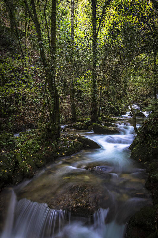 Caaveiro Poster featuring the photograph Sesin Stream near Caaveiro by Pablo Avanzini