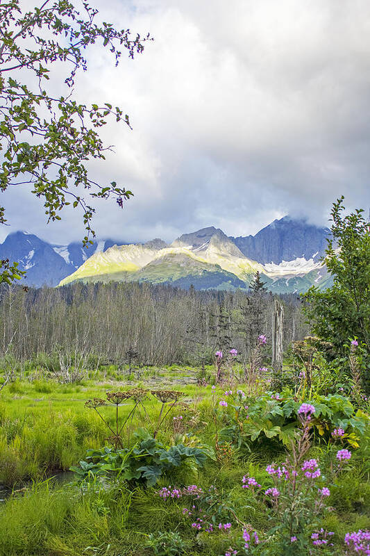 Seward Poster featuring the photograph Seward Alpenglow by Saya Studios