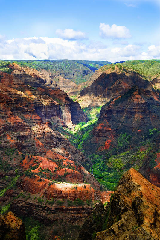 Canyon Poster featuring the photograph Shadows of Waimea Canyon by Christi Kraft