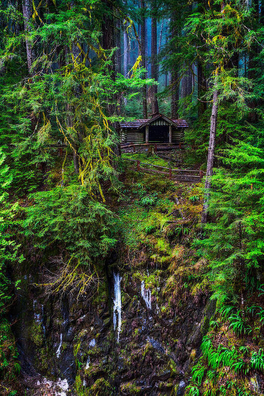 Hiking Poster featuring the photograph Shelter in the Forest by Ken Stanback