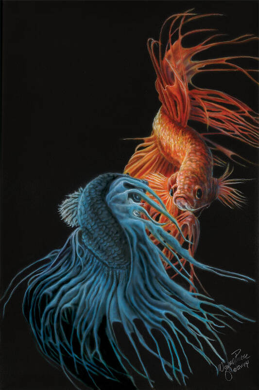 North Dakota Artist Poster featuring the painting Siamese Fighting Fish Two by Wayne Pruse
