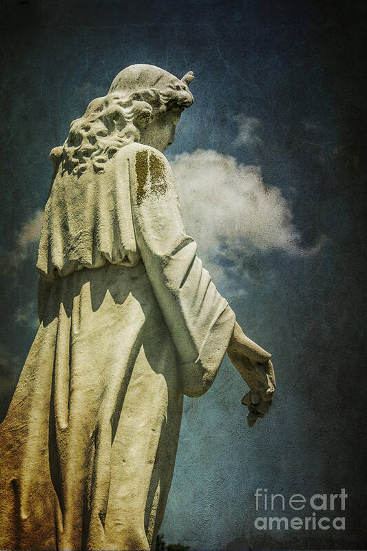 Sky Poster featuring the photograph Sky Angel by Terry Rowe