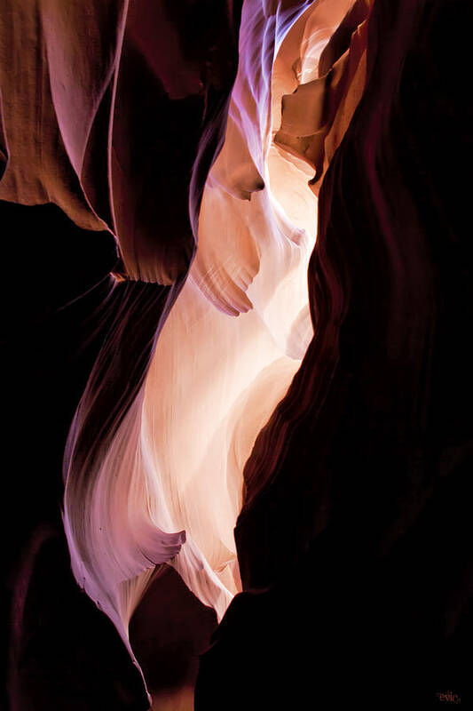 Antelope Poster featuring the photograph Slot Canyon Arizona by Evie Carrier