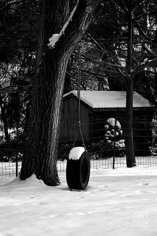 Winter Landscape Poster featuring the photograph Snow on Tire Swing by Frank J Casella