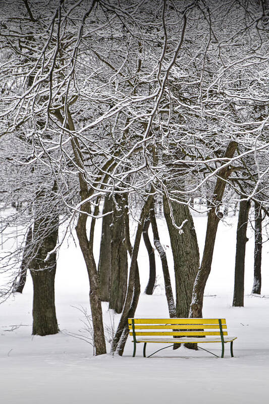 Snow Poster featuring the photograph Snowfall at Garfield Park with Yellow Park Bench No. 1069 by Randall Nyhof