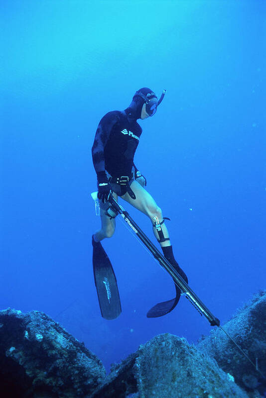 Spearfishing Poster