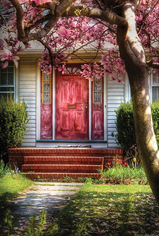 Savad Poster featuring the photograph Spring - Door - Westfield NJ - Pink by Mike Savad